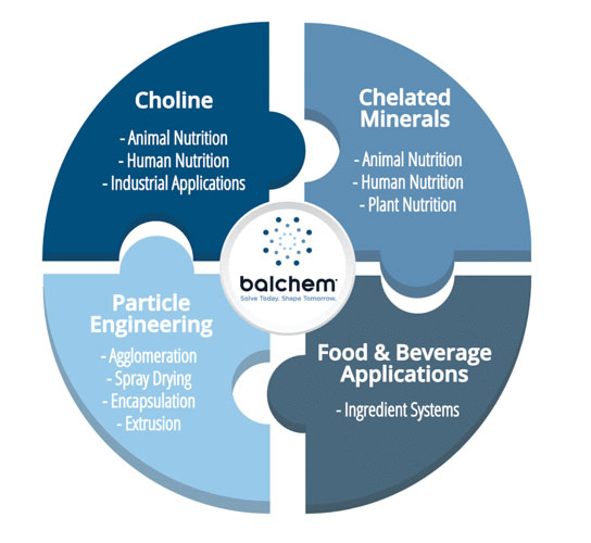 Balchem Sectors